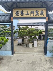 【創藝山門盆栽｜真柏・羅漢松盆栽｜庭園造景】